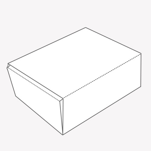 Reverse Tuck End Packaging for products
