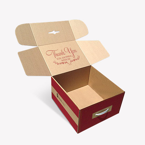 Suitcase packaging for products