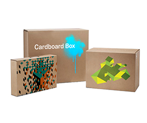 Cardboard Packaging