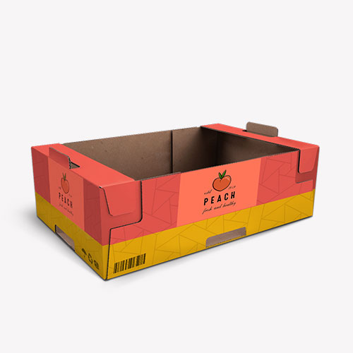 Cardboard Trays Packaging for Products