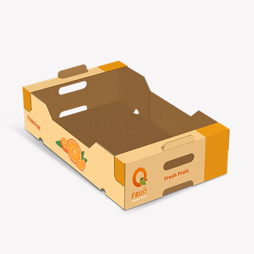 Cardboard Trays Packaging Ideas for Products