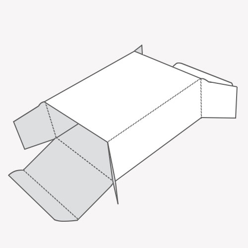 Straight Tuck End Packaging for products